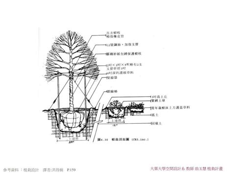 樹木植栽|樹木植栽設計施工手冊